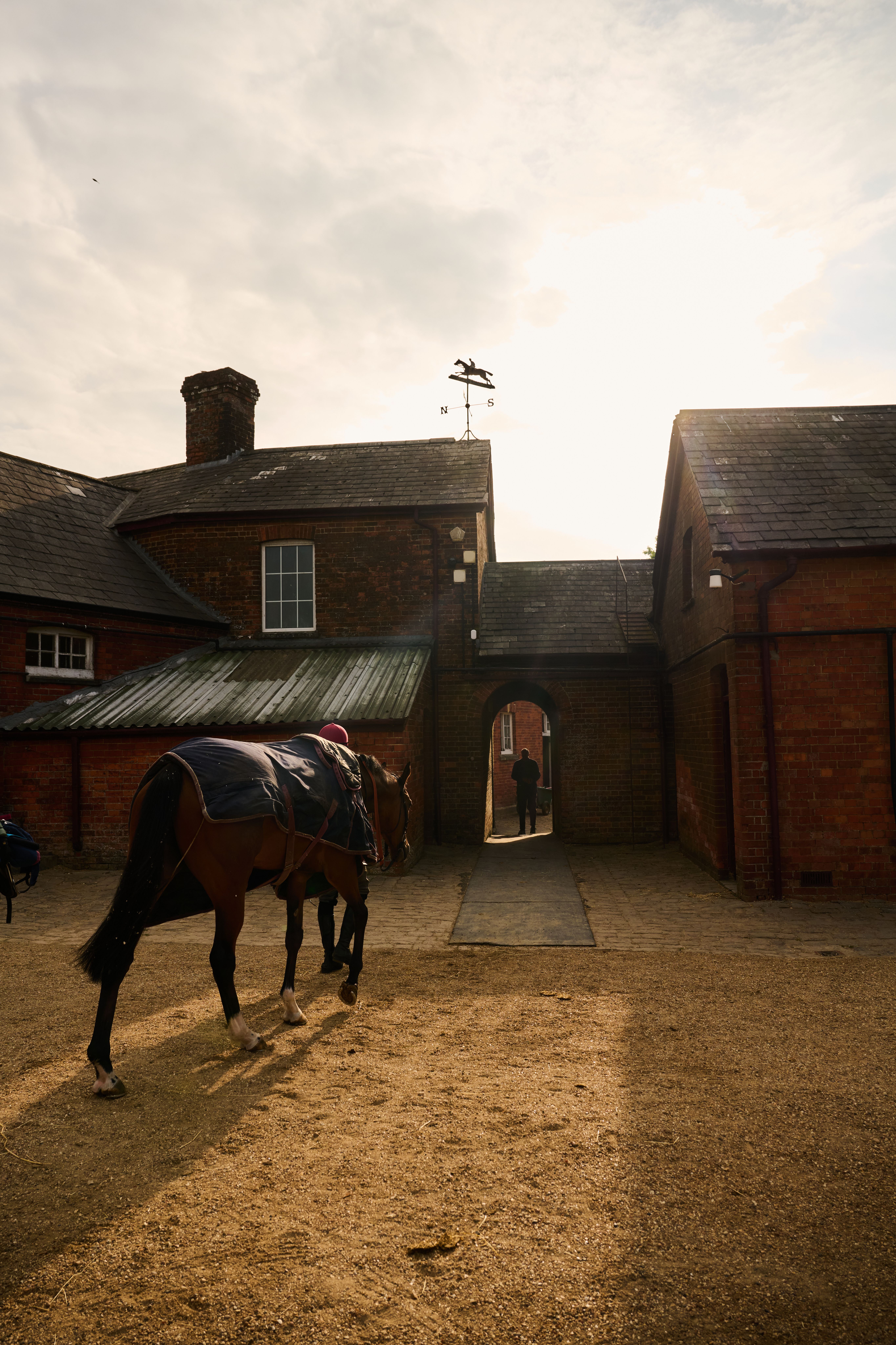 A Salhia Stud horse wearing a blanket walking on a courtyard with a horse weather vane visible on the roof.