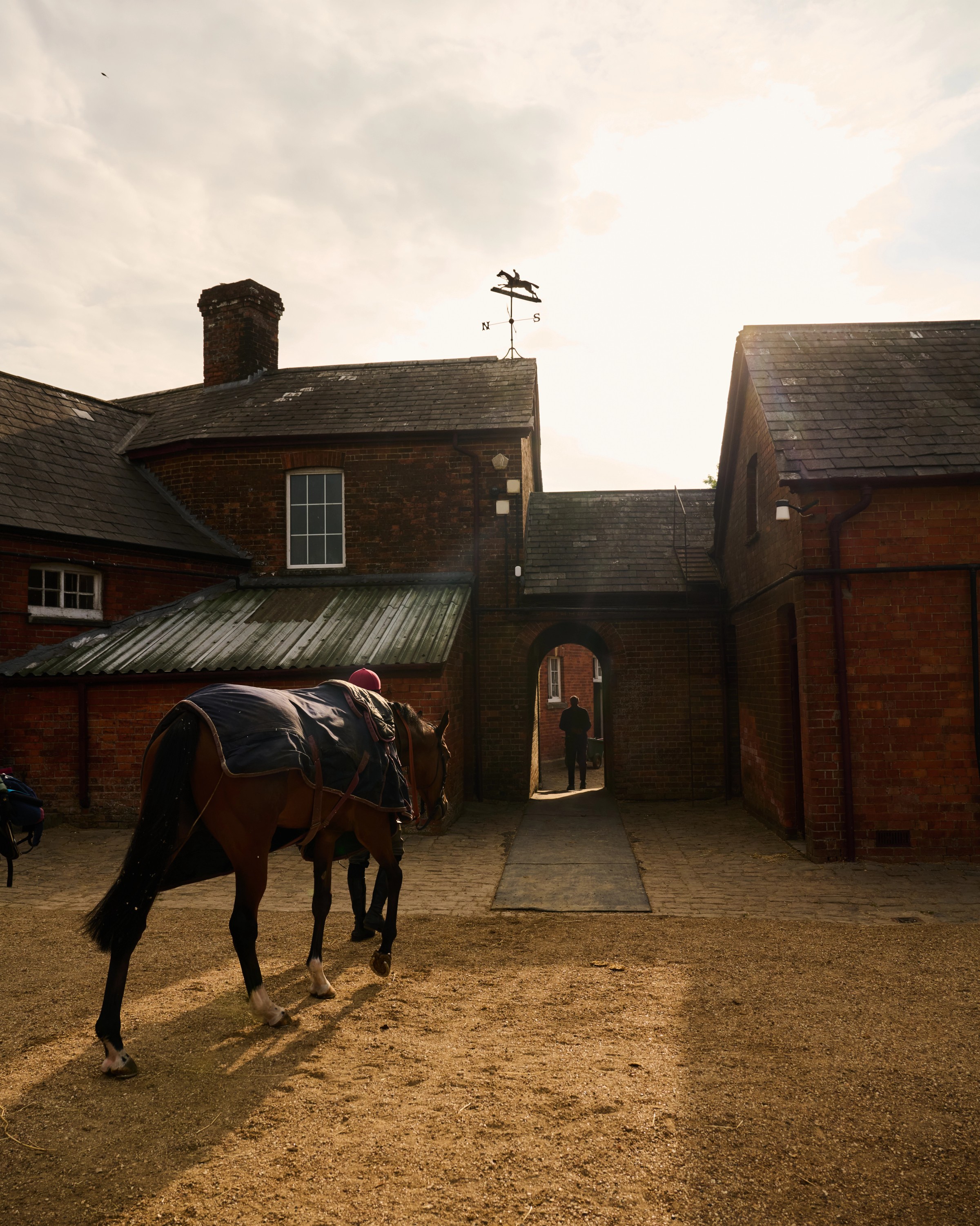 A Salhia Stud horse wearing a blanket walking on a courtyard with a horse weather vane visible on the roof.